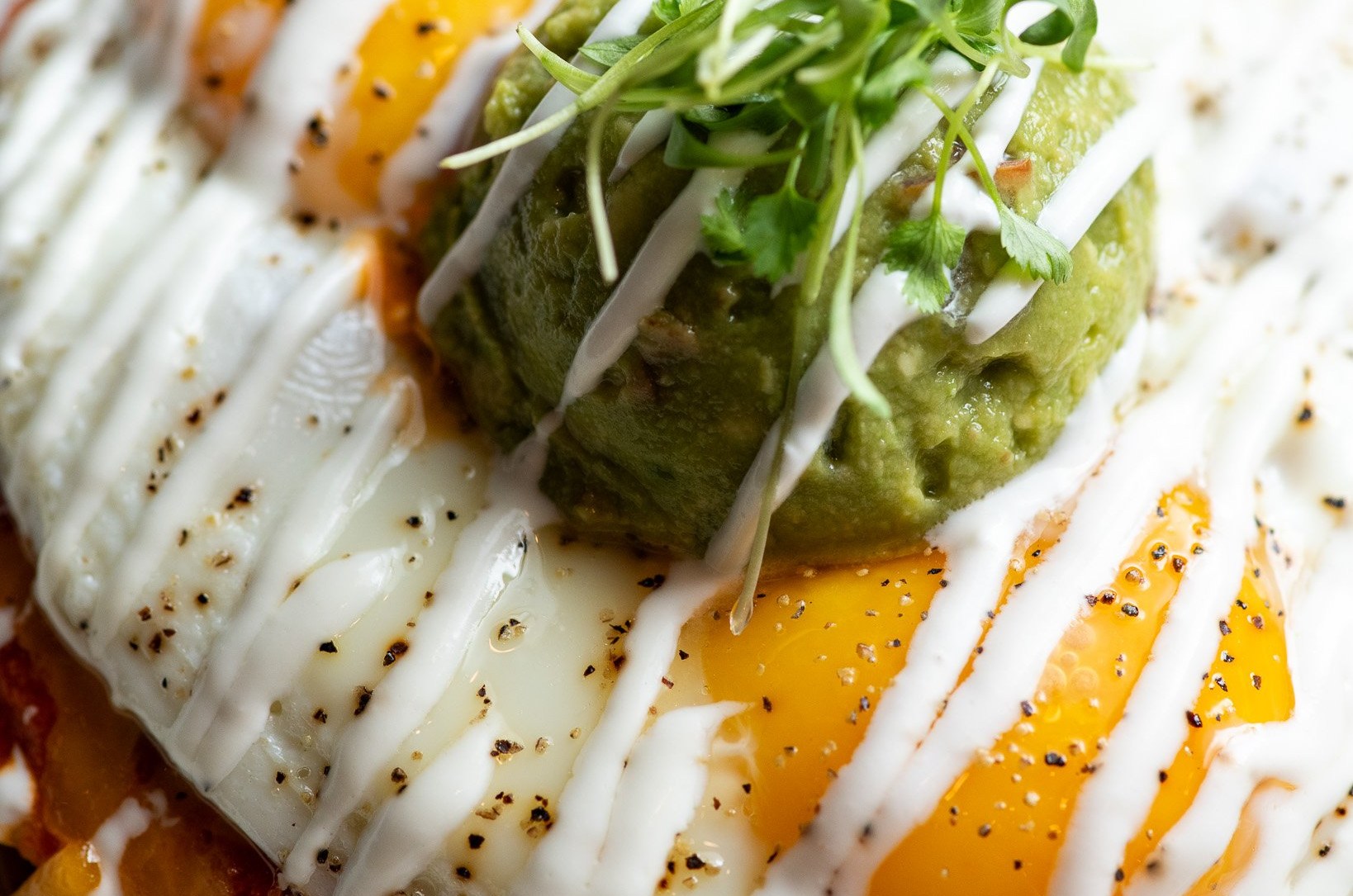 Where to Get Best-in-Class Brunch in Ann Arbor