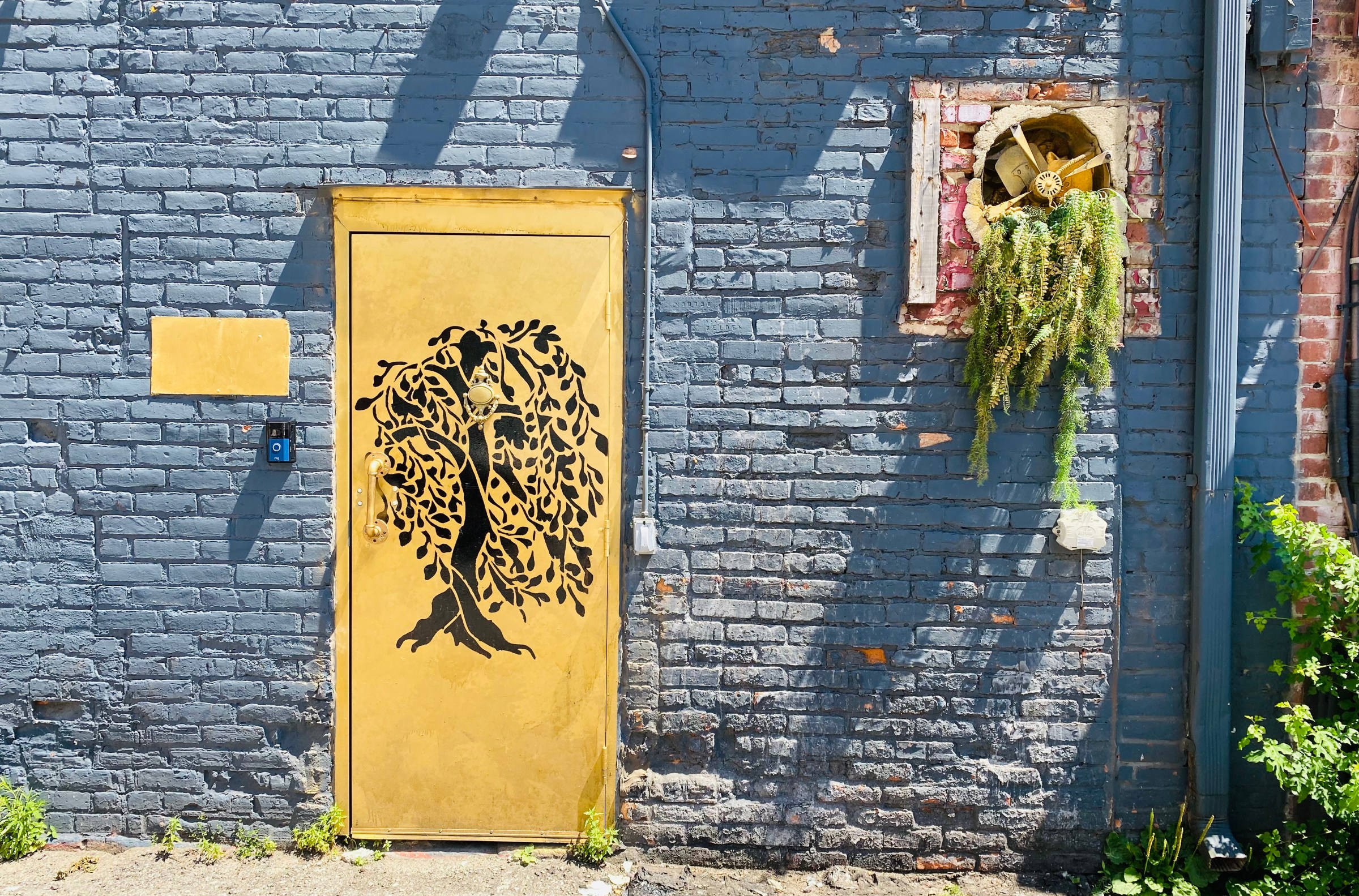A photo of the yellow alley door of Willow which is painted with a willow tree.