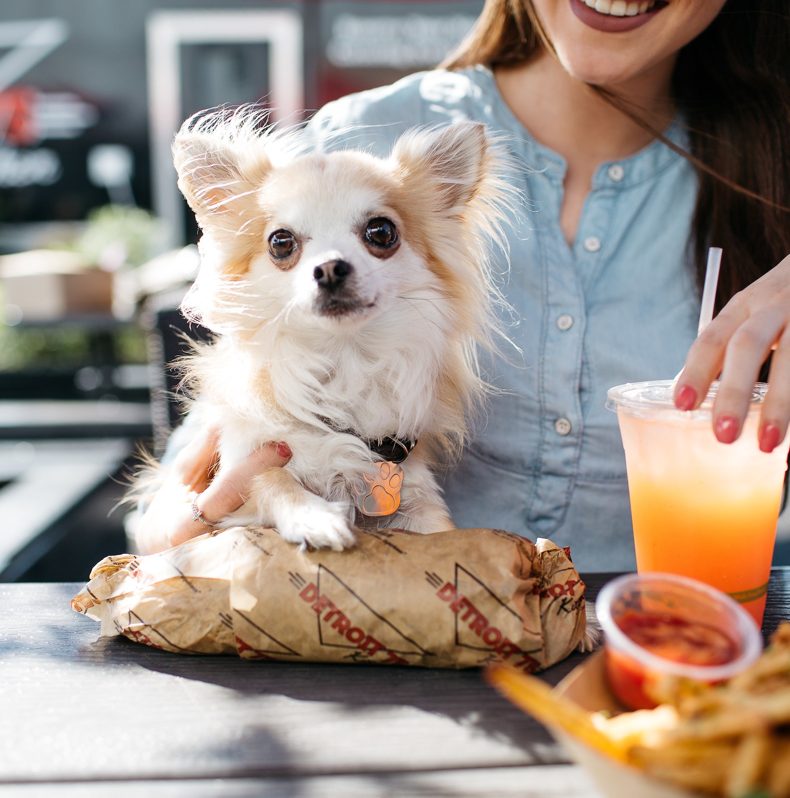 12 Dog-Friendly Bar and Restaurant Patios Around Detroit