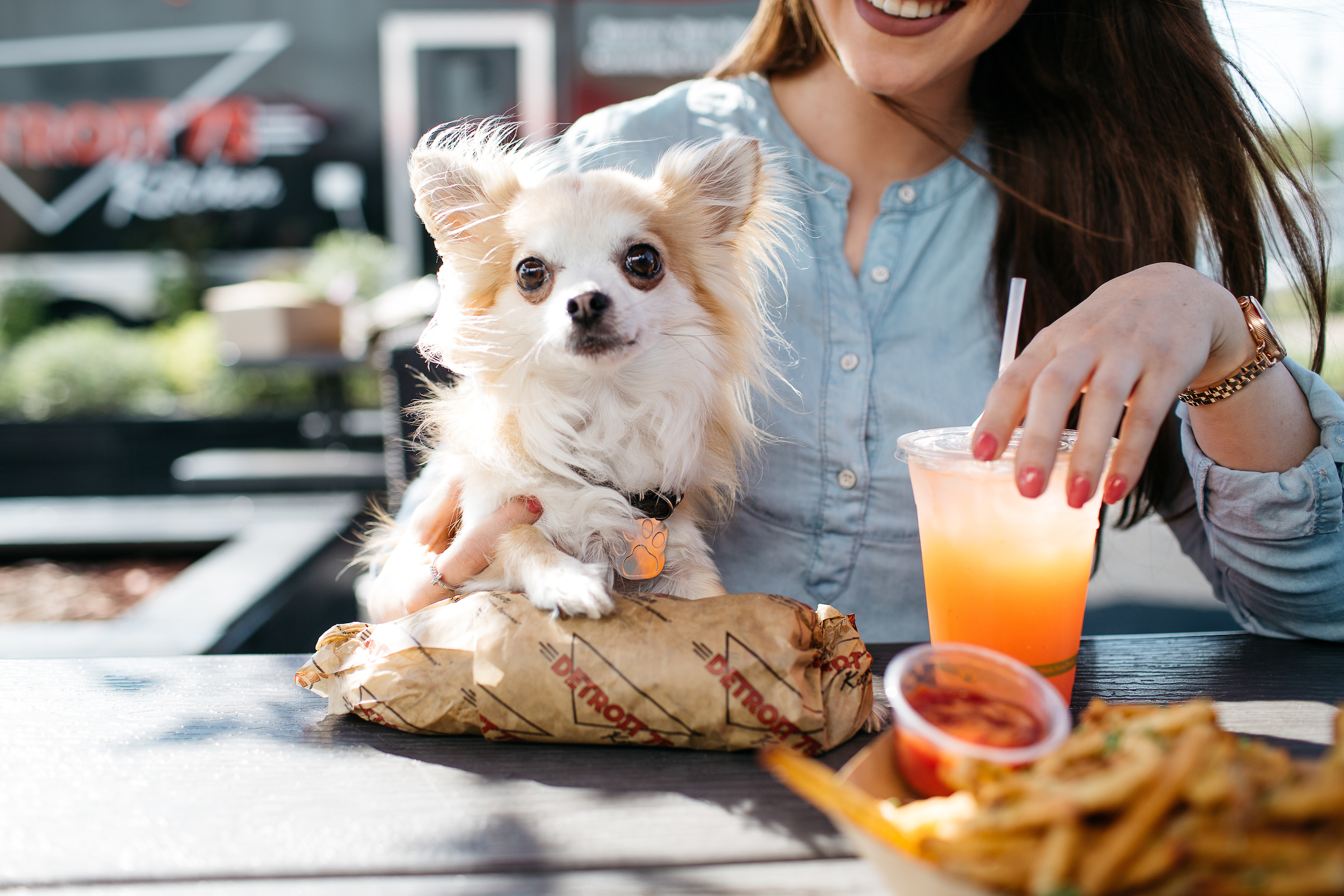 12 Dog-Friendly Bar and Restaurant Patios Around Detroit