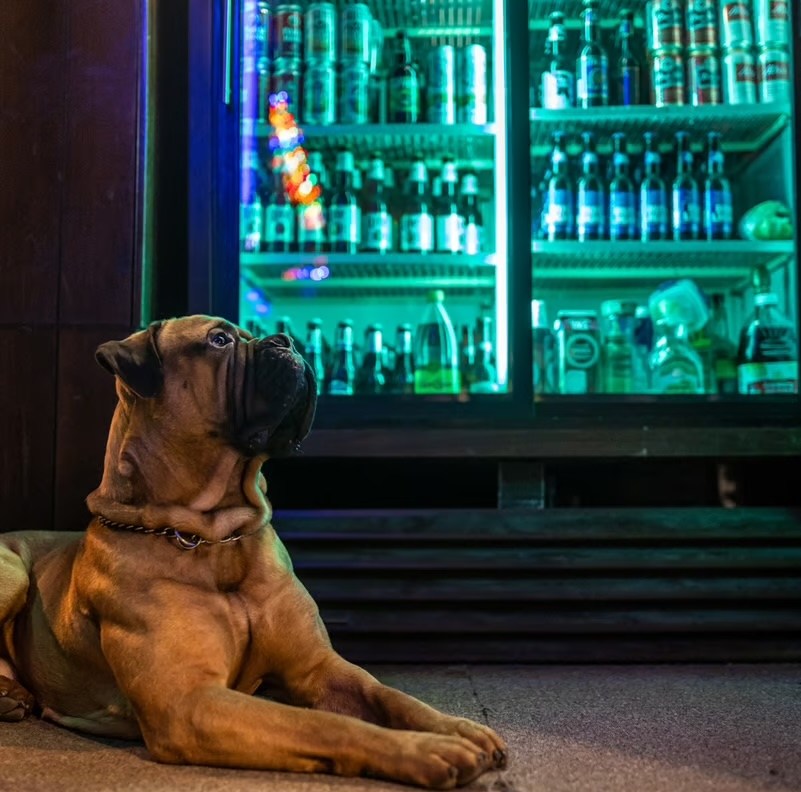 Detroit’s Best Dive Bars